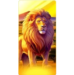 Lion
Safari